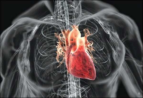 Как распознать сердечный приступ и остановить его