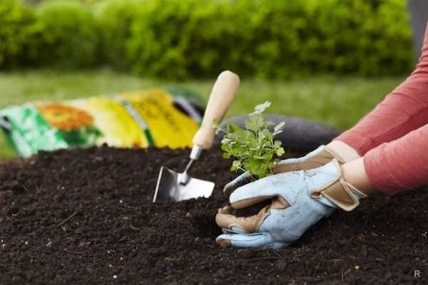 Лунный посевной календарь садовода-огородника на 2021 год, рекомендации по использованию