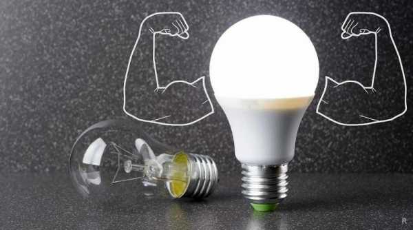 Как выбрать энергосберегающие и экономные лампы для дома