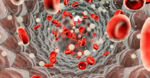 Изменения клеток крови и другие последствия после перенесенного COVID-19
