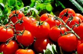 К чему снятся красные помидоры